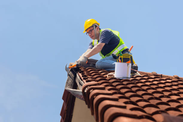 Best Roofing for New Construction  in Wheatland, WY